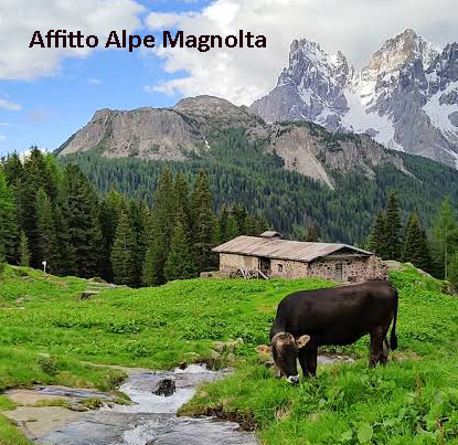 Immagine anteprima
